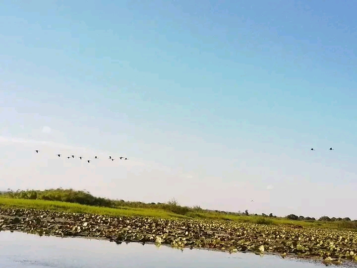 Community- Led Conservation Boosts Aviatourism At Chia Lagoon